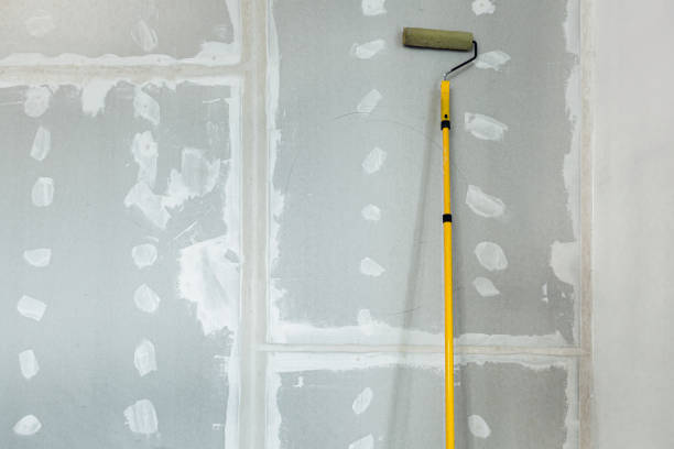 Professional Dry wall and painting in Winnebago, IL